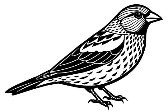 recommend clip art: crossbill silhouette vector illustration
