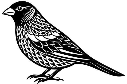 recommend clip art: crossbill silhouette vector illustration