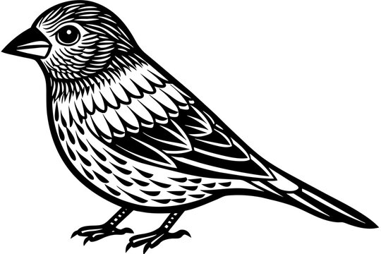 recommend clip art: crossbill silhouette vector illustration
