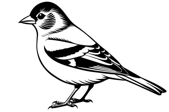 recommend clip art: chaffinch silhouette vector illustration