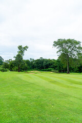 Green with Sand bunkers on Golf course