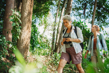 Young female backpacker group traveling in wild forest, Attractive girl traveler look around and explore while walk in nature wood with happiness and fun during holiday vacation trip.