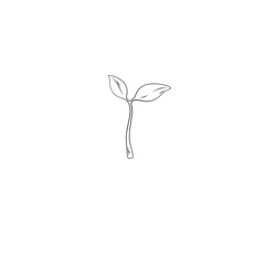 Plant sprout drawing Illustration