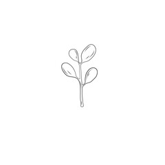 Plant sprout drawing Illustration