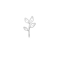 Plant sprout drawing Illustration