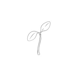 Plant sprout drawing Illustration