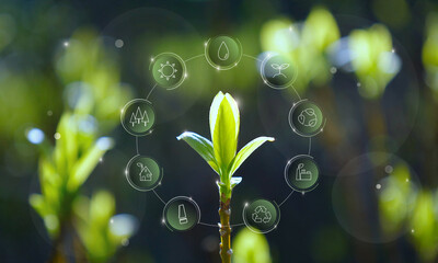 レンギョウの新芽の上に浮かぶ環境保護に関するアイコン：エコロジー、水、太陽、リサイクル、バイオマス発電、循環、グリーンエネルギー