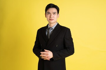 Obraz na płótnie Canvas Portrait of Asian male businessman. wearing a suit and posing on a yellow background
