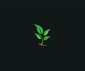 plant seed logo design template