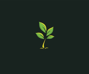 Fototapeta na wymiar plant seed logo design template