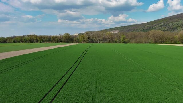 Flying over green agriculture fields in spring, 4k