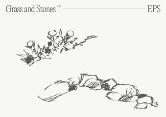 Hand drawn vector illustration of grass and rocks on blank backdrop. Isolated sketch. - 766056129
