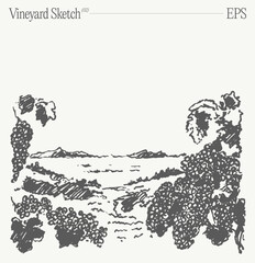 Vineyard Landscape. Vintage wine Label Background. Hand drawn vector illustration, sketch.