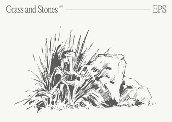 Hand drawn vector illustration of grass and rocks on blank backdrop. Isolated sketch. - 766056949