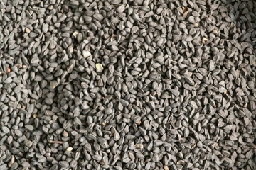 Black cumin (Nigella sativa) texture background. Locally in Bangladesh, it is called Kalojira and is also known as black caraway, black seed, fennel flower, black onion seed, and kalonji. 