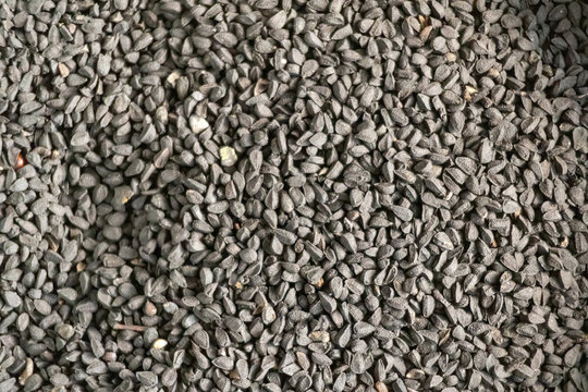 Black cumin (Nigella sativa) texture background. Locally in Bangladesh, it is called Kalojira and is also known as black caraway, black seed, fennel flower, black onion seed, and kalonji. 