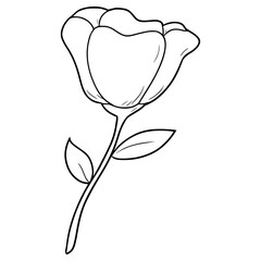 rose flower illustration hand drawn outline vector