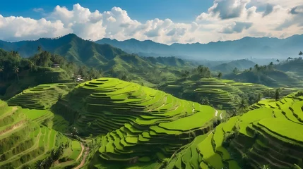 Papier Peint photo Rizières aerial view of green rice field terraces with clean sky and rural vibes