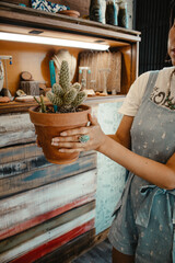 cactus in a shop