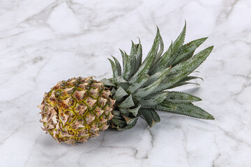 Sweet organic ripe tropical pineapple