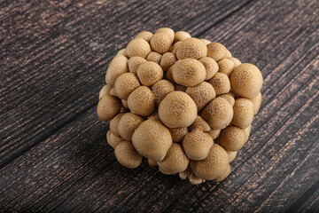 Raw asiam delicacy mushroom Shimeji