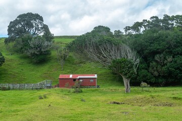 Farmhuse on a farm Raukokore, Bay of Plenty, New Zealand. - obrazy, fototapety, plakaty