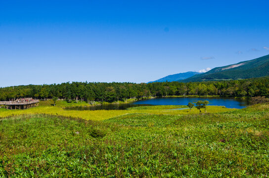 Boardwalk at Shiretoko national park  in Hokkaido prefecture, Japan.