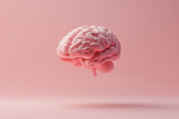 Levitating human brain on pink background