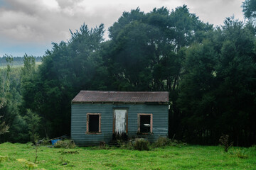 Abandoned farmhouse in the Gisborne District, New Zealand. - obrazy, fototapety, plakaty