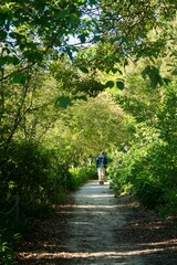 Fototapeta na wymiar man walking up pathway in Napier Botanical Gardens. Hawkes bay, New Zealand.
