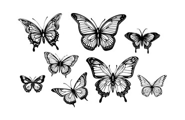 Butterfly Illustration Set 1