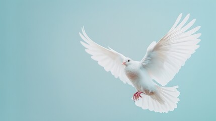 Over a pale blue setting, a white pigeon is in being in flight depicting peach freedom and space, Generative AI.