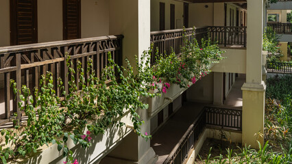 An outdoor terrace with columns runs along the wall of the building. Pink flowering bougainvilleas...