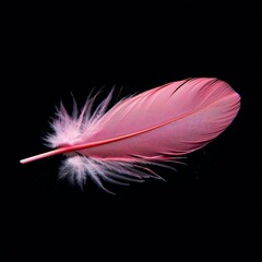 A single delicate pink feather gracefully rests upon a black backdrop, illustrating fragility and lightness in stark contrast to the dark