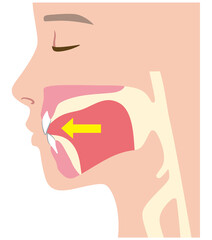 下がっている舌の位置 © koti