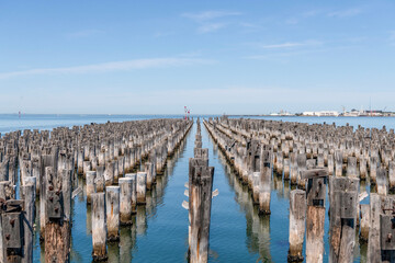 Princes Pier at Port Melbourne. A repetitive pattern of of stumps in the ocean water.