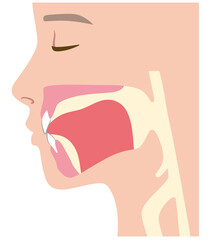 下がっている舌の位置 © koti