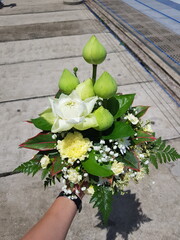 flowers in the garden