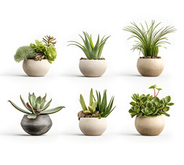 Fototapeta premium Set of green plant pots With leaves and flowers. Vector. Realistic illustration. lonely shadow on a white background