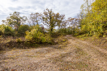 Walking in the highlands at the beginning of the autumn season, ,mountain panorama, nature in anticipation of autumn,cloudy day