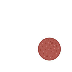 Salami Slice Flat Vector Illustration 