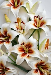 Obraz na płótnie Canvas bouquet of lilies