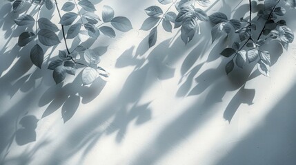 Wild Rose Leaves Overlay Effect on White Wall: Abstract Neutral Nature Concept with Blurred Background and Text Space
