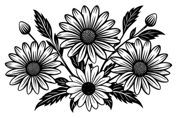  chamomile--illustrations-of-daisy-flowers-and-leva