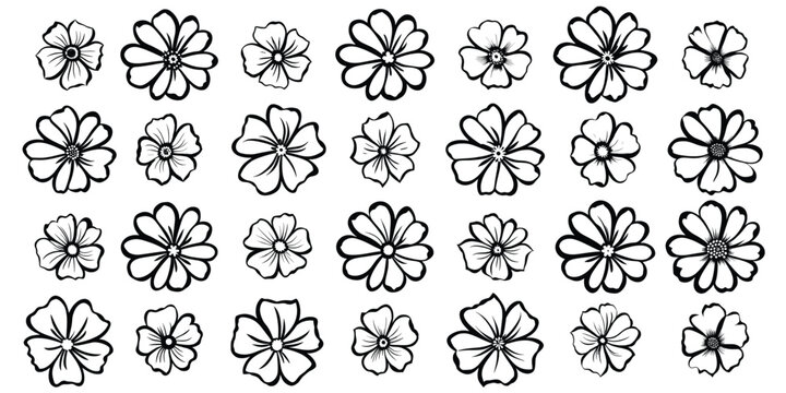 A set of flowers, hand drawn, isolated on a white background, vector design	