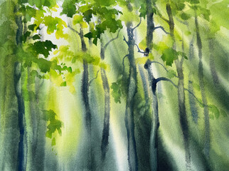 Green spring forest in the mist watercolor background - 766122110