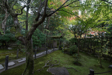 Zen temple garden