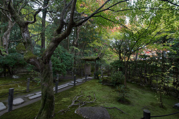 Fototapeta premium Zen temple garden
