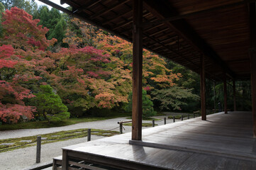 Traditional Japanese House Among Maple Leaves