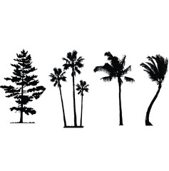 Vector illustration set of tree nature silhouette isolated on a white background